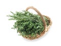 Wicker basket with fresh herbs on white background Royalty Free Stock Photo