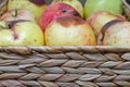 Wicker basket with fresh organic rotten ugly apples in close-up, spoiled fruit.