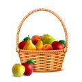 Wicker Basket Fruits Realistic