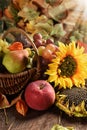 Wicker basket full of autumn fruits Royalty Free Stock Photo