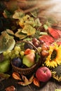 Wicker basket full of autumn fruits Royalty Free Stock Photo