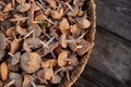 wicker basket full of edible mushrooms Royalty Free Stock Photo