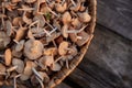 wicker basket full of edible mushrooms Royalty Free Stock Photo