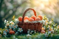 A wicker basket full of eggs stands on the grass. Royalty Free Stock Photo