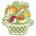 Wicker basket full of fresh harvest vegetables. Vector Retro style Harvest festival graphic illustration isolated on white. Farm Royalty Free Stock Photo