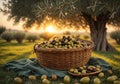 Wicker basket full of fresh olives