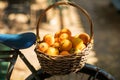 A wicker basket full of fresh orange fruits Royalty Free Stock Photo