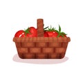 Wicker basket full of fresh tomatoes. Organic and tasty vegetable. Flat vector element for promo banner or poster Royalty Free Stock Photo