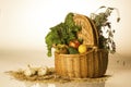 Wicker basket full of fruits and vegetables Royalty Free Stock Photo