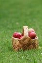 Wicker basket full of gala apples Royalty Free Stock Photo