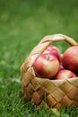 Wicker basket full of gala apples Royalty Free Stock Photo