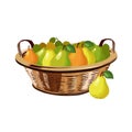 Wicker basket full of juicy pears on white background. Isolated vector fruit in flat design Royalty Free Stock Photo