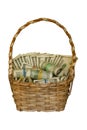 A wicker basket full of money in rolls isolated on white background Royalty Free Stock Photo