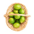 Wicker basket full of multiple ripe limes Royalty Free Stock Photo
