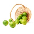 Wicker basket full of multiple ripe limes Royalty Free Stock Photo