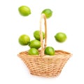 Wicker basket full of multiple ripe limes Royalty Free Stock Photo