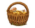 Wicker basket full of mushrooms orange cap boletus and chanterelles isolated on white background. Vector Illustration Royalty Free Stock Photo