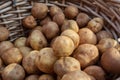 Wicker Basket Full Of Potatoes On Sale At Farmers Market Royalty Free Stock Photo