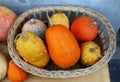 Wicker basket full of pumpkin Royalty Free Stock Photo