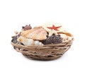 Wicker basket full of sea shells Royalty Free Stock Photo