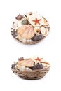 Wicker basket full of sea shells Royalty Free Stock Photo
