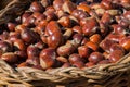 Wicker Basket full of sweet organic Chestnut at country market