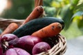 Fresh vegetables Royalty Free Stock Photo