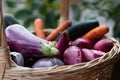 Fresh vegetables Royalty Free Stock Photo