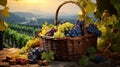 Wicker basket with grapes on the background of vineyards. Created with Generative Ai technology Royalty Free Stock Photo