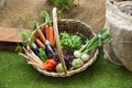 Wicker basket with vegetables Royalty Free Stock Photo