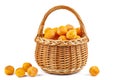 Wicker basket with half-dried yellow cherry plums isolated on the white
