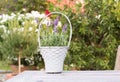 Wicker basket with lavender.