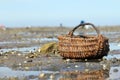 Wicker basket on Le Gois