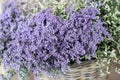 In a wicker basket limonium gmelinii, statice or sea lavender flowers in lavender-blue color in the garden shop