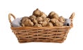 Wicker basket with many Jerusalem artichokes isolated on white Royalty Free Stock Photo