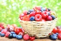 Wicker basket of mixed fresh ripe sweet berries Royalty Free Stock Photo