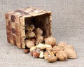 Wicker basket and nuts on canvas