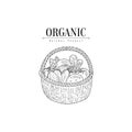 Wicker Basket With Organic Vegetables Hand Drawn Realistic Sketch Royalty Free Stock Photo