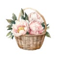 Watercolor wicker basket with pink peonies.