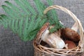 Wicker basket with porcini mushrooms and a bunch of blooming heather. Shot on a background of coarse linen fabric with a sheet of