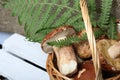 Wicker basket with porcini mushrooms and a bunch of blooming heather. Shot on a background of coarse linen fabric with a sheet of