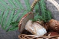 Wicker basket with porcini mushrooms and a bunch of blooming heather. Shot on a background of coarse linen fabric with a sheet of