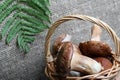 Wicker basket with porcini mushrooms and a bunch of blooming heather. Shot on a background of coarse linen fabric with a sheet of