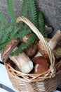 Wicker basket with porcini mushrooms and a bunch of blooming heather. Shot on a background of coarse linen fabric with a sheet of