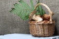 Wicker basket with porcini mushrooms and a bunch of blooming heather. Shot on a background of coarse linen fabric with a sheet of