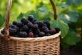 Wicker basket with ripe blackberries outdoors fruit vegetarian. Generate Ai