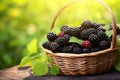 Wicker basket with ripe blackberries outdoors natural. Generate Ai