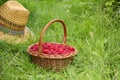 Wicker basket with ripe raspberries and straw hat on green grass outdoors. Space for text Royalty Free Stock Photo