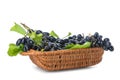 Wicker basket with ripe sweet grapes on white background Royalty Free Stock Photo