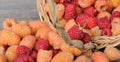 wicker basket and scattered ripe juicy red and yellow raspberries on a wooden table Royalty Free Stock Photo